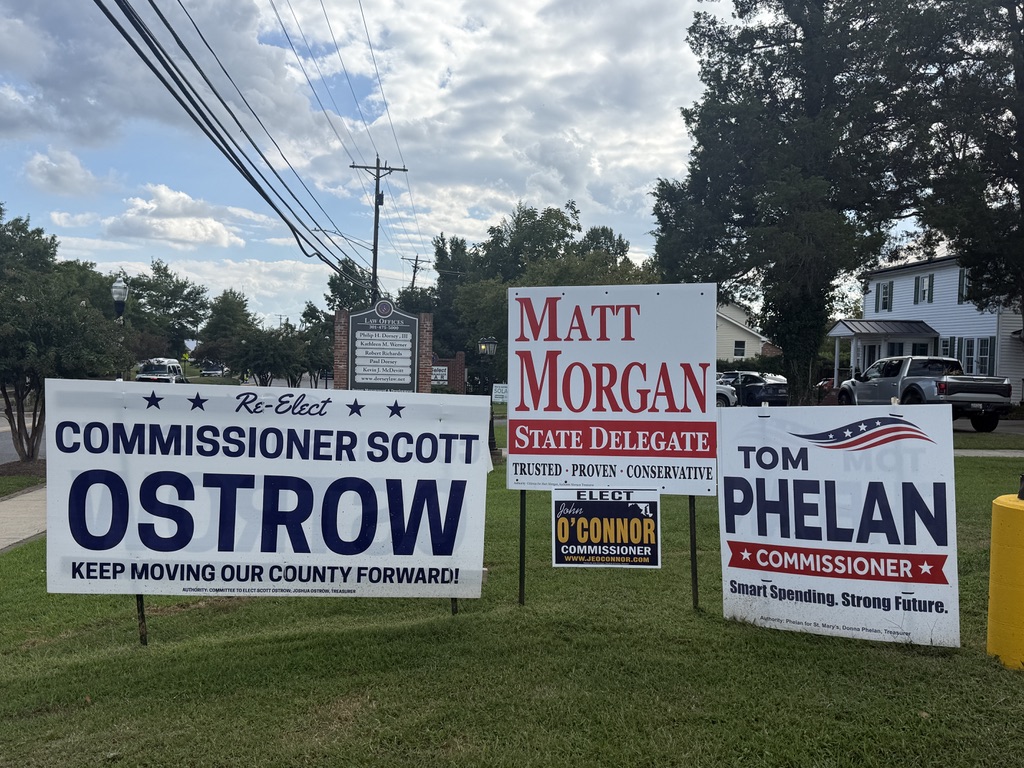 Local campaign signs displayed beside a road